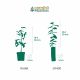 Kit Haie Pleine Nature - 10 Jeunes Plants