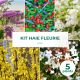 Kit Haie Fleurie - 5 Jeunes Plants
