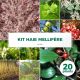 Kit Haie Mellifère - 20 Jeunes Plants